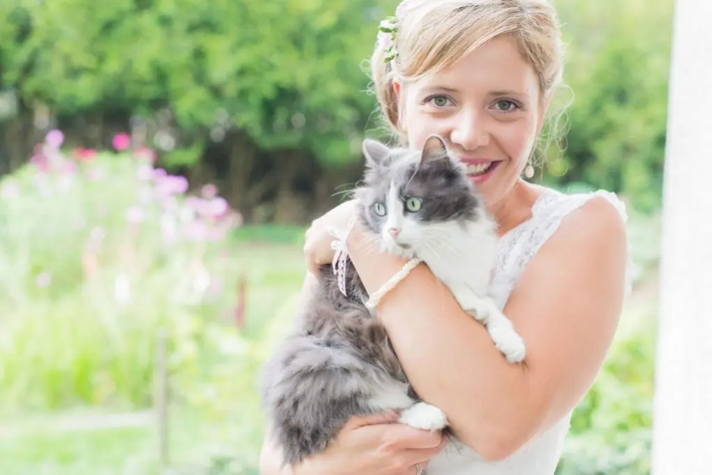 Photographe mariage melun mariee chat
