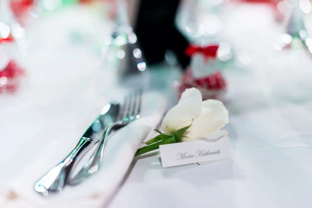 Photographe reception mariage marque place rose