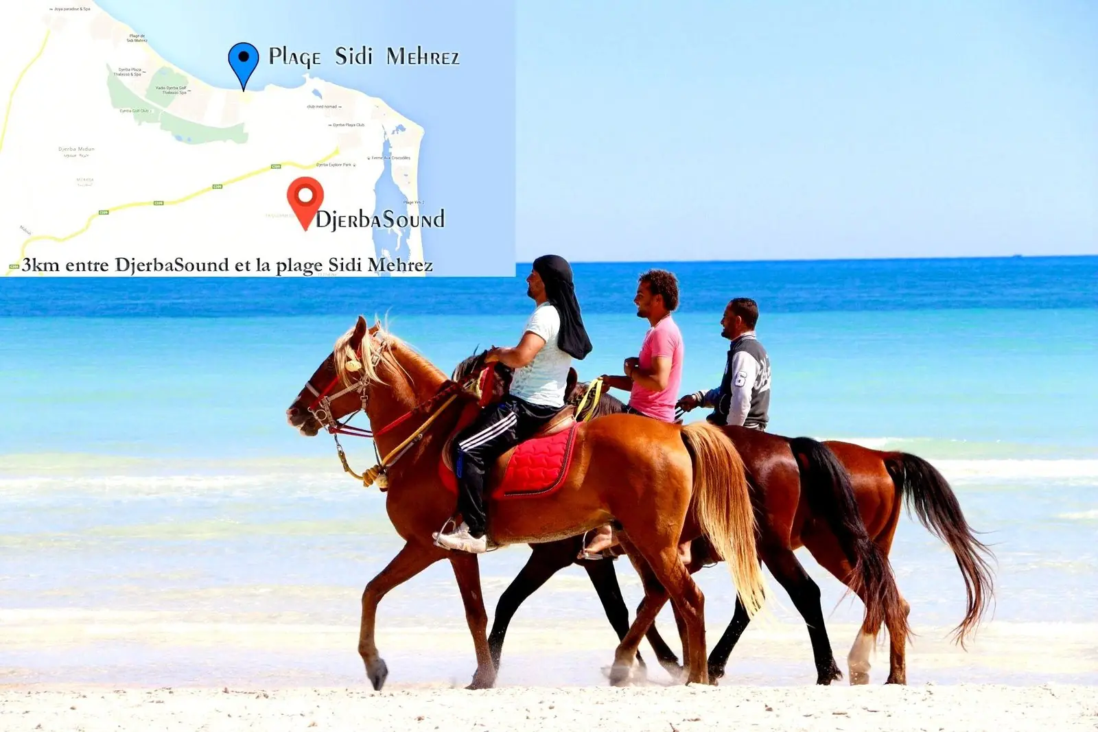 Location villa djerba piscine jacuzzi activite promenade cheval proche plage sidi mehrez